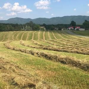 Meet your Posher, Bryson